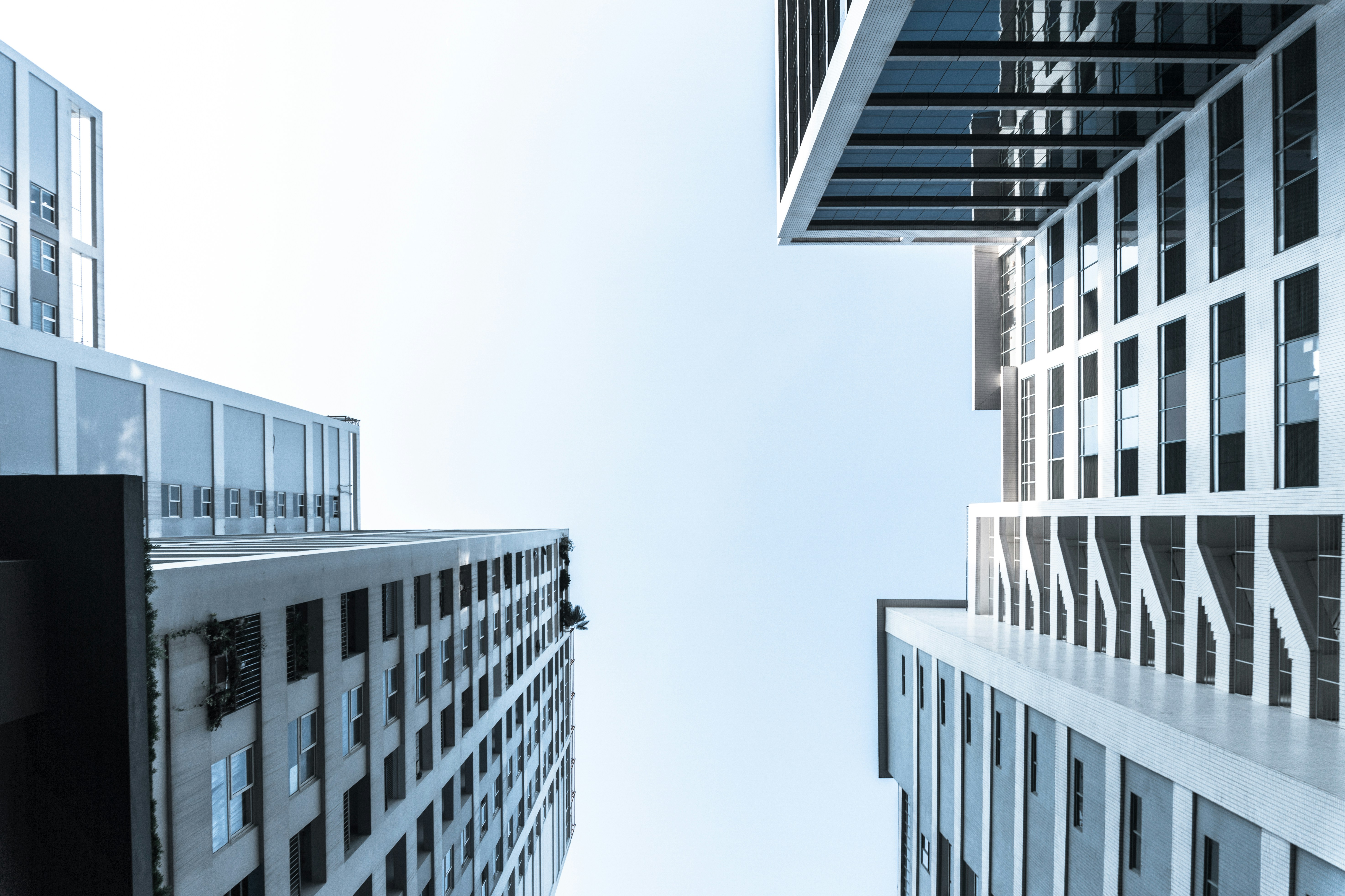 View from ground level looking up at skyscrapers