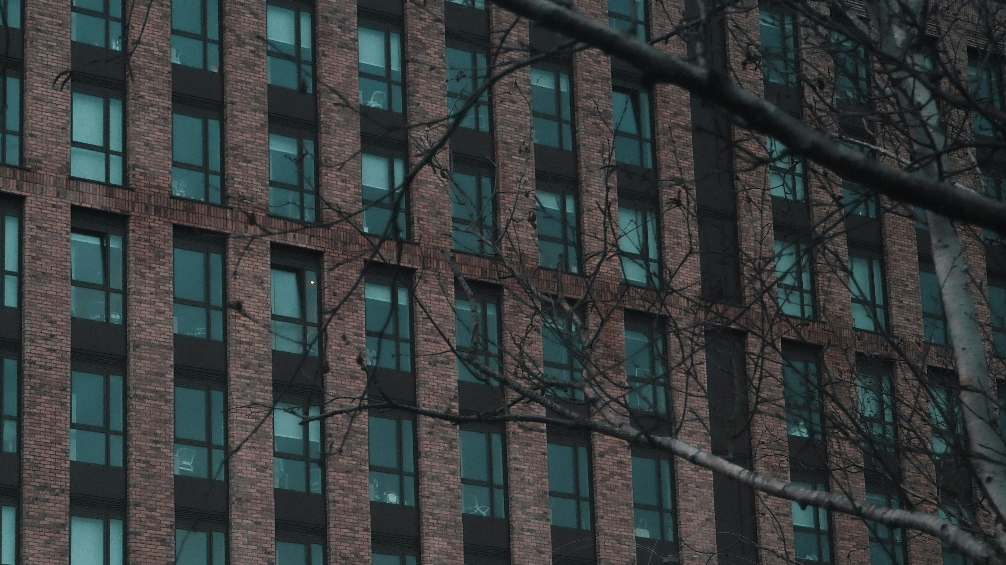 Windows of modern building